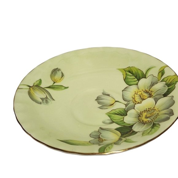 AYNSLEY England DOGWOOD Pattern Light Green Cup & Saucer Magnolia Flowers - Picture 11 of 12